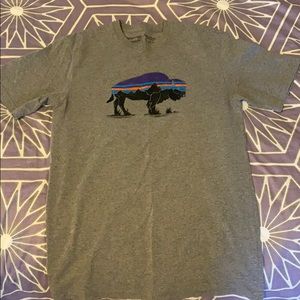 Men’s Patagonia T- Shirt